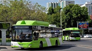 Toshkent avtobuslari kun davomida rekord darajadagi yo‘lovchilar tashidi