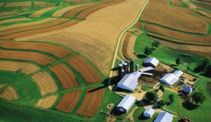 Oʻzbekistonda Uzagrostar yordamchi xoʻjaliklari uchun holding tashkil etiladi