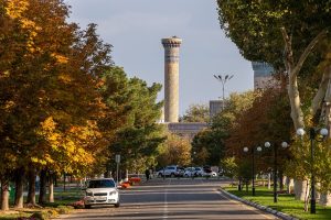 Теплая погода сохранится на выходных в Узбекистане