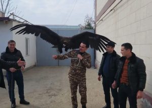 Sirdaryoda yashovchi shaxs “Qizil kitob”ga kiritilgan qora kalxatni noqonuniy saqlagani aniqlandi