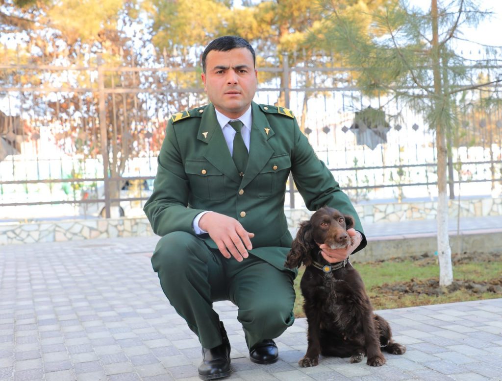 Oʻzbekistonda xizmat itlari kontrabandaga qarshi kurashga qoʻshgan hissasi uchun taqdirlandi