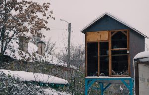 На этой неделе ожидаются снег и ночные заморозки