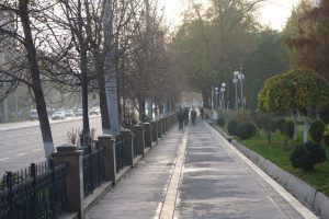 Oʻzbekistonda havo harorati +15 darajagacha iliydi