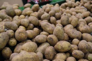 Kartoshkaning minimal narxlari 26 foizdan koʻproqqa arzonlashdi — MHTI