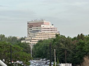 Oʻzbekistonda bir qator imtiyozlar bilan “yashil tadbirkor” maqomi joriy etiladi