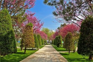 O‘zbekistonda issiq ob-havo va yog‘ingarchilik kutilmaydi