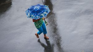 Oʻzbekistonga yomgʻirli ob-havo qaytdi