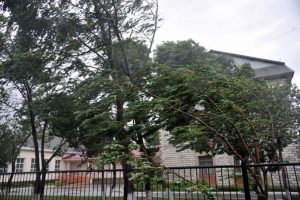 O‘zbekistonda kuchli shamol va yomg‘ir yog‘ishi kutilmoqda