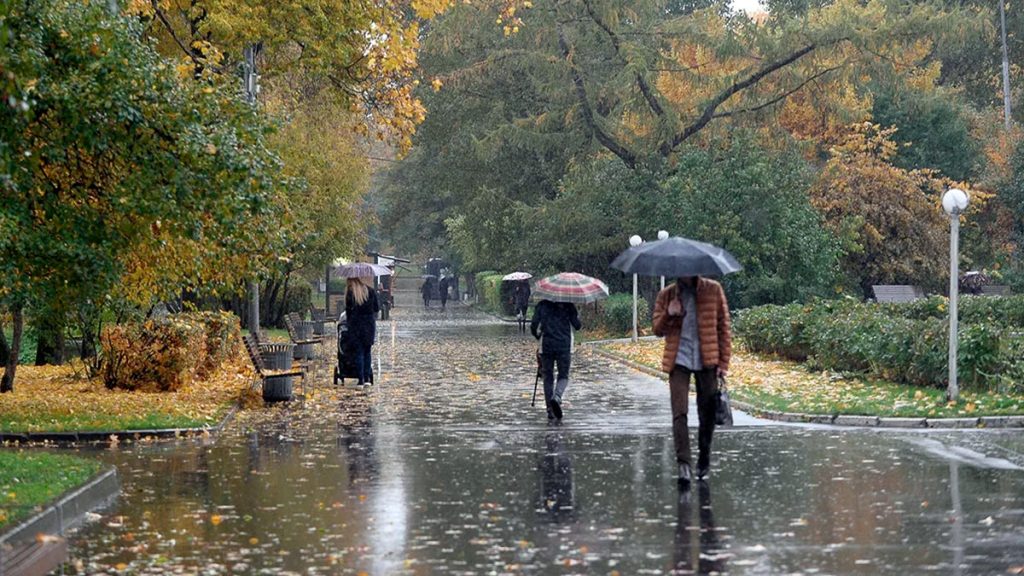 В Узбекистане продолжит идти дождь и сохранится прохлада