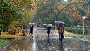 В Узбекистане продолжит идти дождь и сохранится прохлада