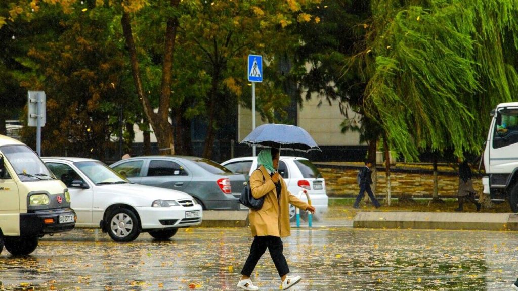 Перед выходным в Узбекистане ожидается дождливая и прохладная погода