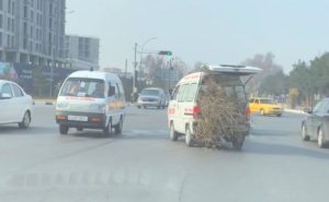 Qo‘qonda poliklinika haydovchisi o‘zboshimchalik bilan tez yordam mashinasida o‘tin tashidi