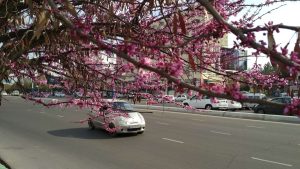 Sinoptiklar Oʻzbekistonda baʼzi joylarda yomgʻir yogʻishi va issiq ob-havo boʻlishini prognoz qilmoqda