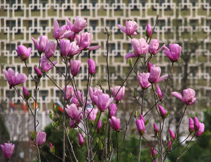 В Узбекистане на праздничных выходных будет сухая и теплая погода