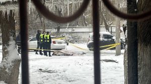 Власти Ташкента опровергли информацию о смерти мужчины из-за нападения стаи собак