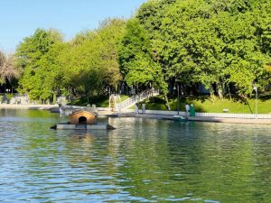 Oʻzbekistonda iliq va yogʻingarchiliksiz ob-havo kutilmoqda