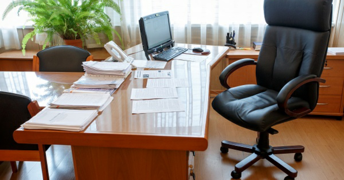 Eski mushukning pornosi